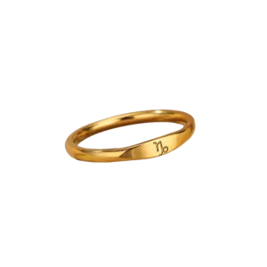 Minimalist Zodiac Stacking Band